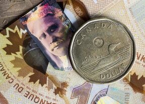 0103 bc loonie
