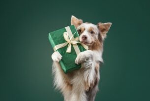 pet holiday gifts